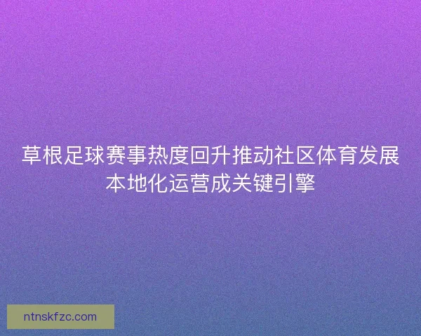 草根足球赛事热度回升推动社区体育发展本地化运营成关键引擎